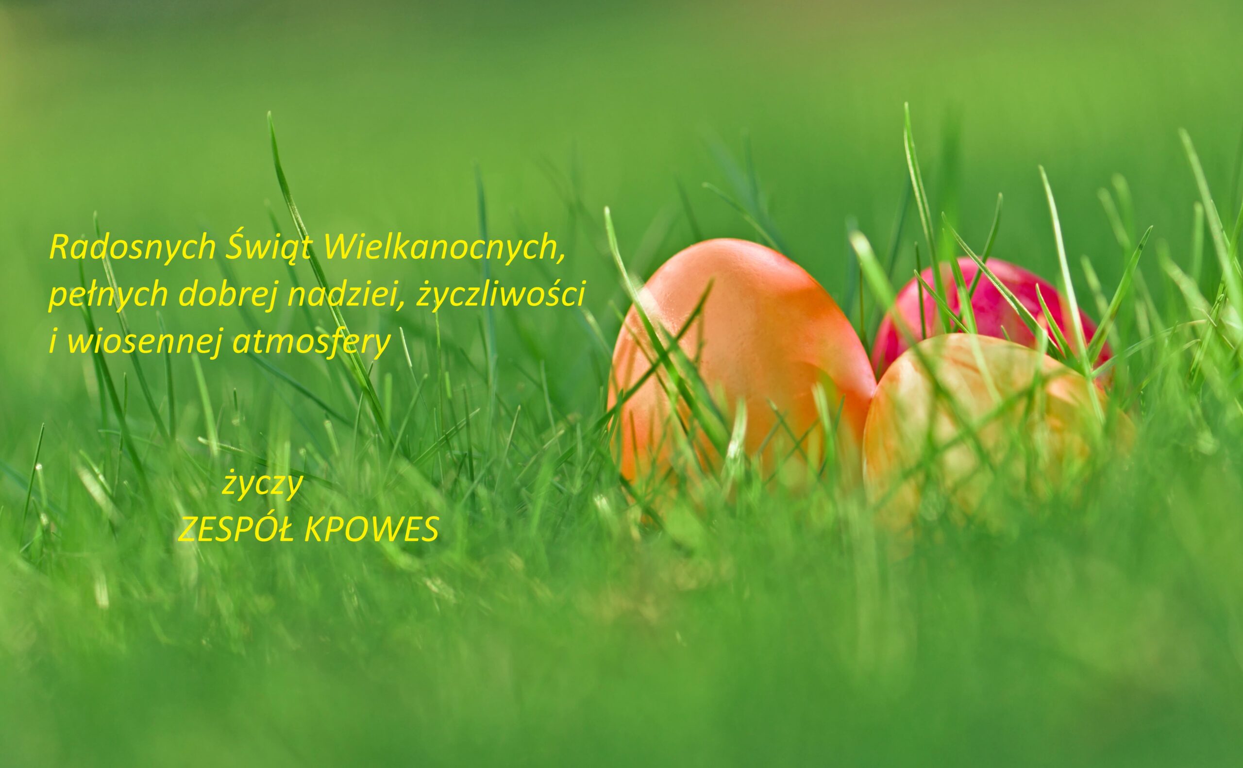 kolorowe jajka wystajace z trawy i napis:Radosnych i pogodnych Świąt Wielkanocnych, pełnych dobrej nadziei, życzliwości i wiosennej atmosfery. życzy Zespół KPOWES